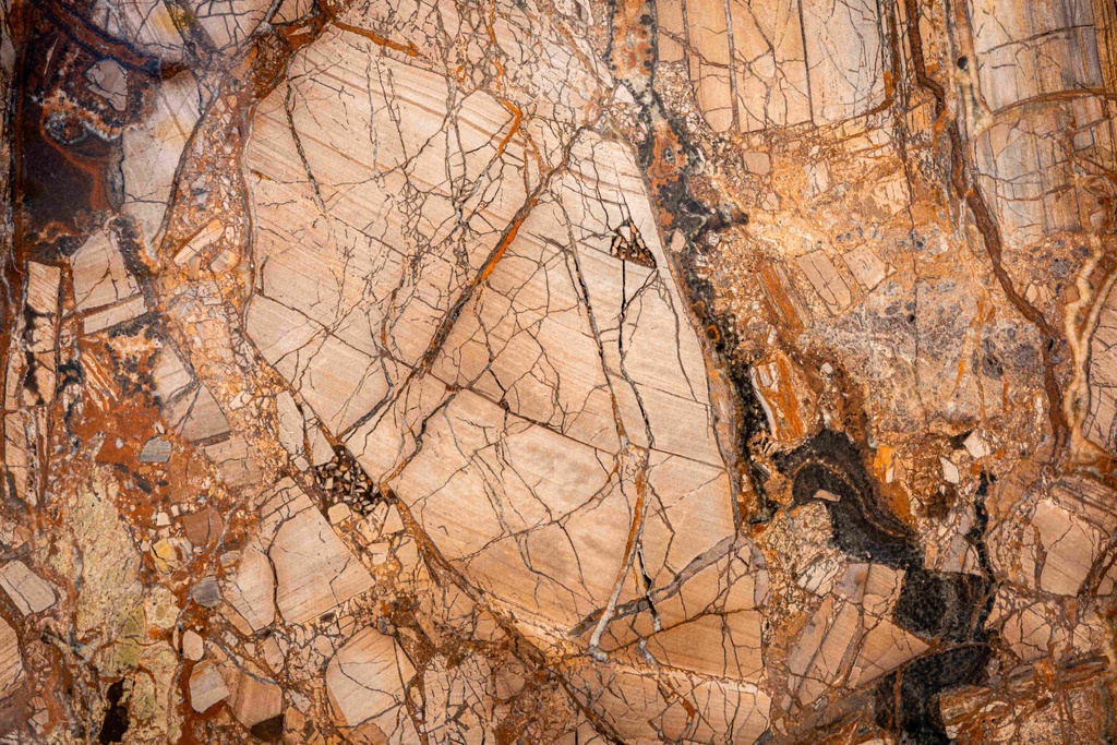 Neue Versage Ausstellung